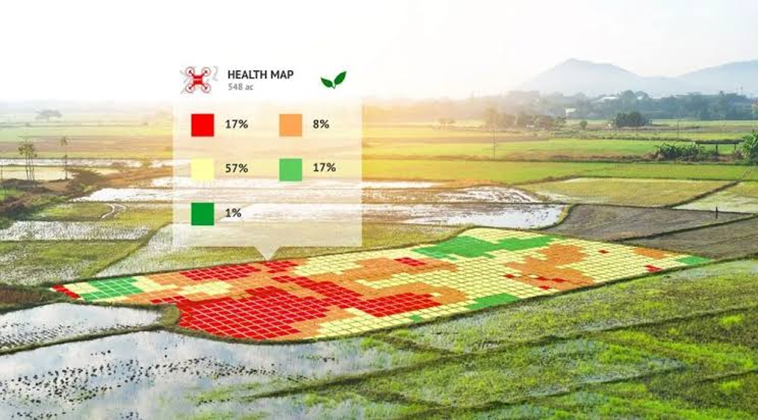 3D Photogrammetry Image 6